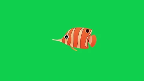 Animated orange fish on green screen ideal for aquatic animation Stock Footage 309099500