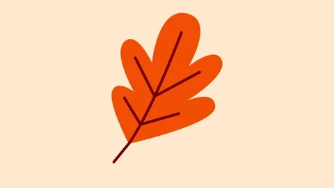 Animated orange oak leaf drifting in autumn tones with seamless loop Stock Footage 320286798