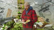 Animated Overlay Background Farmer Writes In Journal About Home Grown Veg Stock Footage