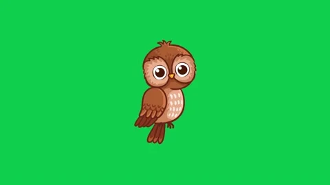 Animated owl blinking on green screen ideal for wildlife nature Stock Footage 309099569