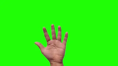 Animated palm on a green background Video stock 235273917