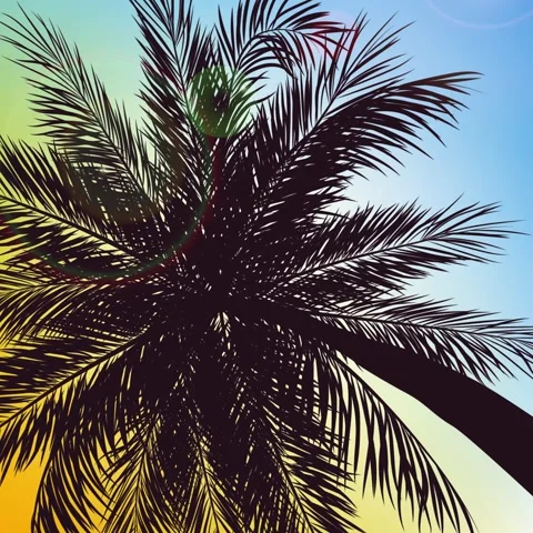 Animated palm tree moving in the wind Stock Footage 307369609