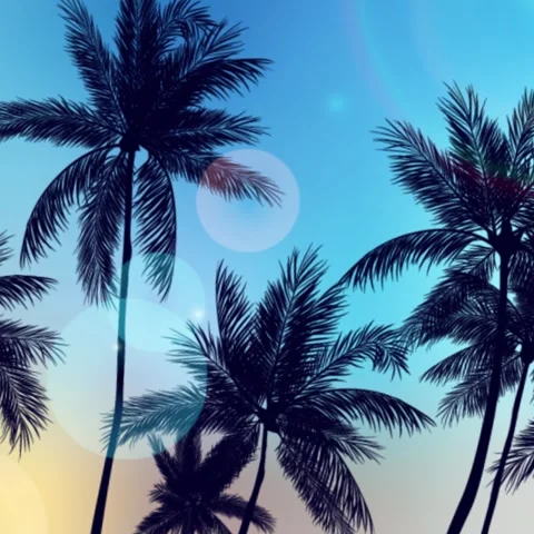 Animated palm trees moving in the wind Stock Footage 307369654