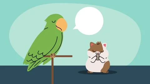 Animated parrot and hamster pets sharing space with speech bubble. Stock Footage 338316607