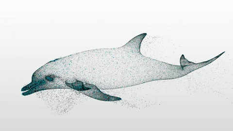 Animated Particle Dolphin Floats. Stock Footage 202115212