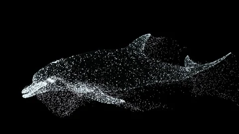 Animated Particle Dolphin Floats. Stock Footage 202115746