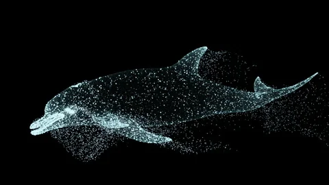 Animated Particle Dolphin Floats. Stock Footage 202116104