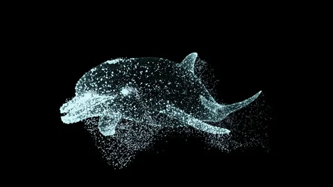 Animated Particle Dolphin Floats. Stock Footage 202116447
