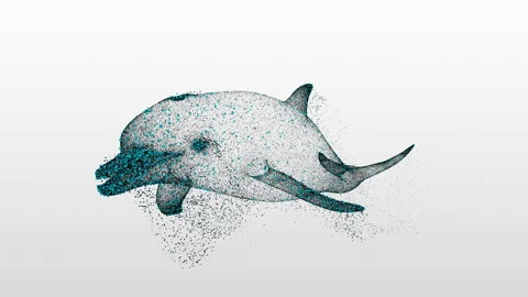 Animated Particle Dolphin Floats. Stock Footage 202120324