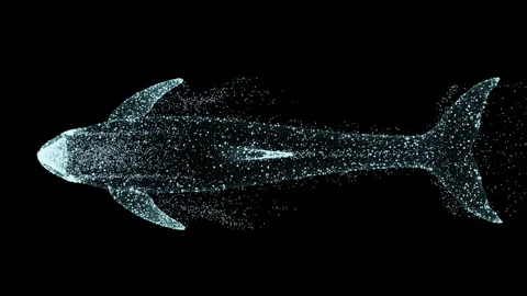 Animated Particle Dolphin Floats. Stock Footage 213973310