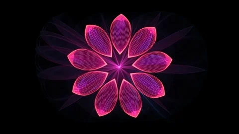 Animated Particle Flower Stock Footage 76620555