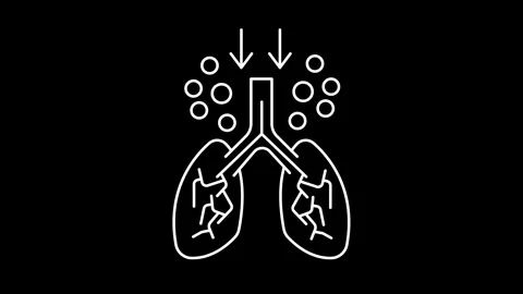 Animated particulate matter icons in thin line style Stock Footage 316250279