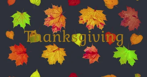Animated pattern background of rotating dry autumn leaves, Happy Thanksgiving Stock Footage 203542138