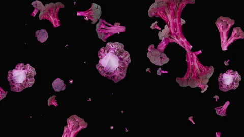 Animated pattern of broccoli on a black background. Vidéo 148325160