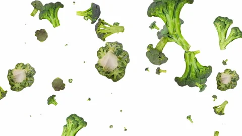 Animated pattern of broccoli on a white background 库存影片 148325104