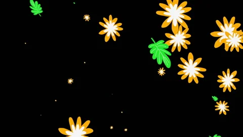 Animated pattern of flowers and leaves on a black background. Vidéo 148325284