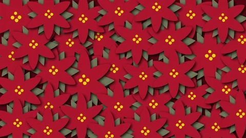 Animated pattern flowers christmas star, ideal footage for the christmas period Video stock 120441533