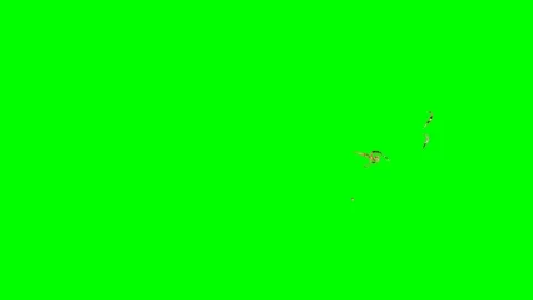 Animated pattern on a green background. Stock Footage 101059041