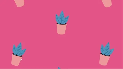 Animated pattern of potted houseplants with sparkling star icons on a vibra.. Stock Footage 338318137