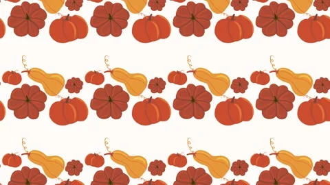 Animated pattern of pumpkins and squash arranged in rows on a white background. Vídeo Stock 321696638