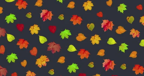 Animated pattern of rotating dry autumn leaves with congratulations on Stock Footage 204736470