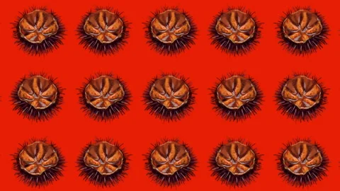 Animated pattern of sea urchins, ideal footage for themes such as Mediterranean Stock Footage 135716163