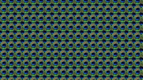 Animated peacock feathers background. concept for indian traditional decora.. Stock Footage 313229249