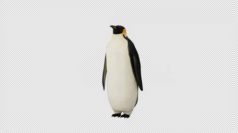 Animated penguin front view and waving flippers Stock Footage 229708764