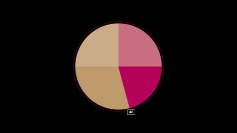 Animated pie chart data graph showing growth percentages 4K 스톡 동영상 345548884