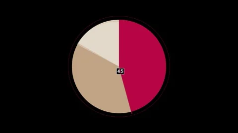 Animated pie chart data visualization motion graphic 4K 스톡 동영상 345548911
