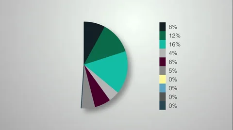 Animated pie chart infographic | Stock Video | Pond5