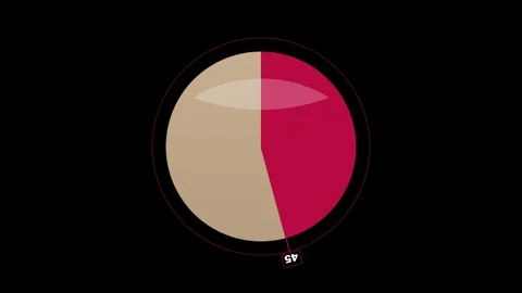 Animated pie chart loading progress in 4K stock footage Stock Footage 346156884