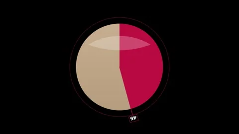 Animated pie chart progress indicator loading in 4K Stock Footage 345729326