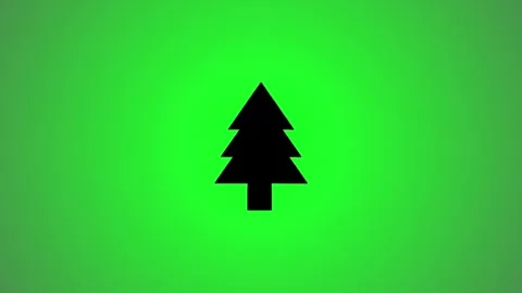 Animated pine tree icon appearing on green screen background with subtle li.. Stock Footage 346491384
