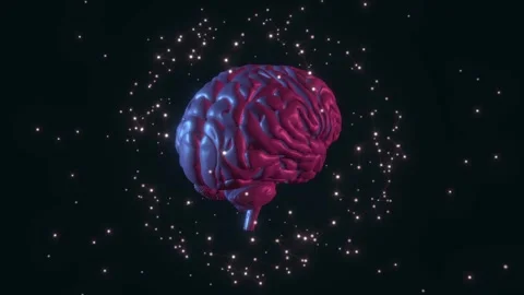 Animated pink human brain with plexus network sphere orbiting around it Stock Footage 346873383