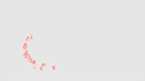 Animated pink Rose Petals Falling and flying blow by the wind. Stock Footage 278916735
