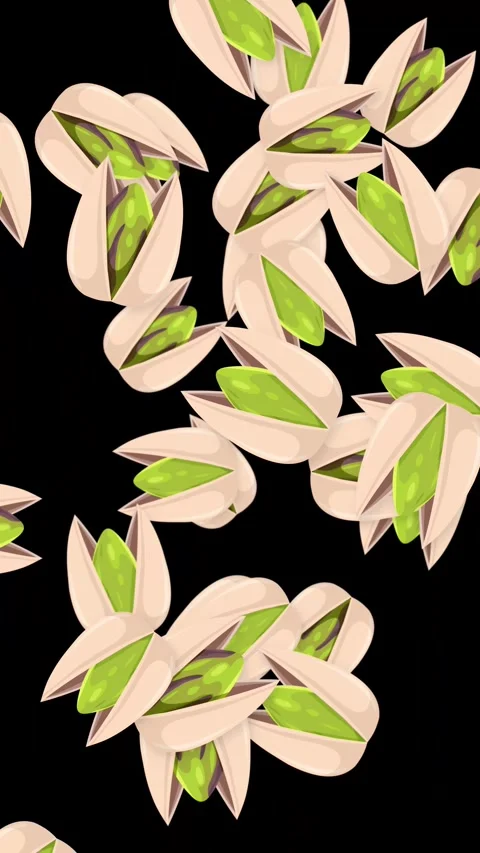 Animated Pistachio Nuts Bursting and Falling on Black Background Stock Footage 344622151
