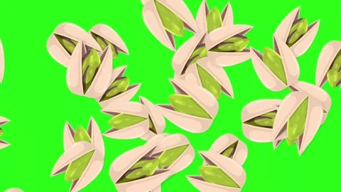 Animated Pistachio Nuts Falling and Floating on Green Screen Background Stock Footage 344377947