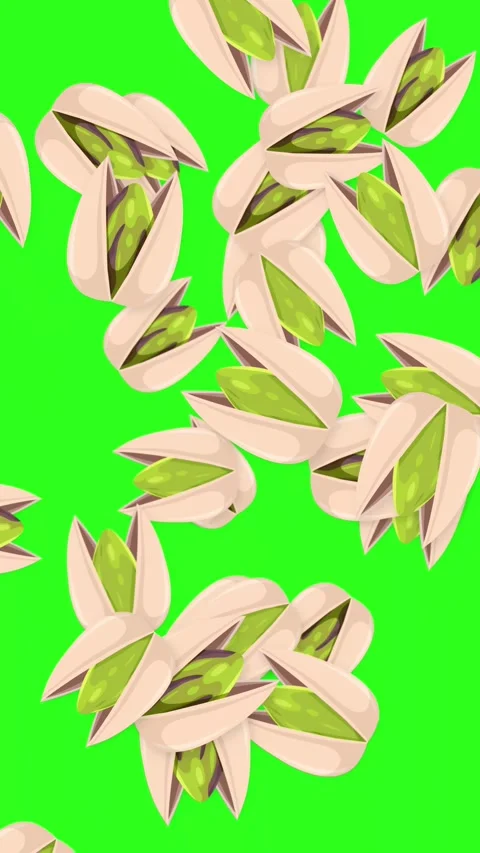 Animated Pistachio Nuts Falling and Bursting on Green Screen Background Stock Footage 344617202