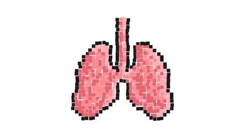 Animated Pixel icon. Healthy human lungs. Human respiratory system. Simple .. Stock Footage 257403012