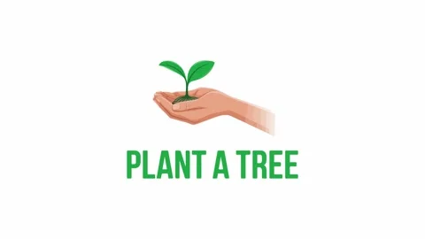 Animated Plant a Tree Text with Hands Holding Sapling Eco Concept Video stock 338005285