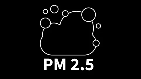 Animated pm 2.5 icons in thin line style Stock Footage 316250277