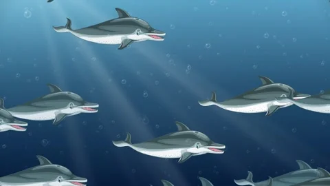 Animated Pod of Dolphins Swimming Through Deep Blue Ocean Water Stock Footage 341537440