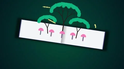 Animated Pop-Up Book Chronicles With Magical Storytelling Scenes Stock Footage 340468376