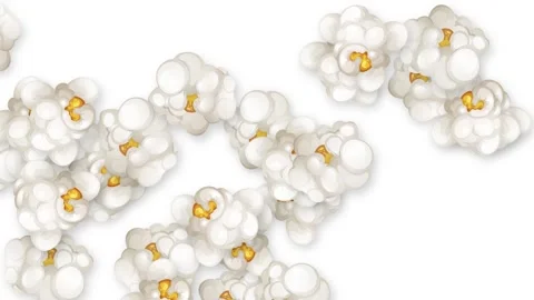 Animated Popcorn Kernels Bursting and Floating on White Background Stock Footage 344832229