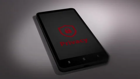 Animated Privacy Symbol on Mobile Screen Stock Footage 160366789