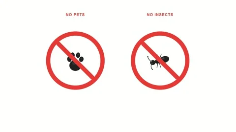 Animated prohibition warning sign for pets and insects 스톡 동영상 334820765