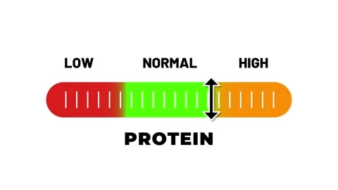 Animated Protein Level Meter Horizontal Bar Indicator, Health and Fitness Stock Footage 318826332