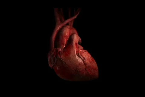 Animated Pulsing Heart 스톡 동영상 362176