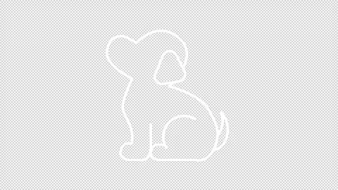 Animated puppy wagging tail white line icon Video stock 335745939
